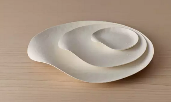 一次性餐具竟然美得像藝術(shù)品?。?）.png